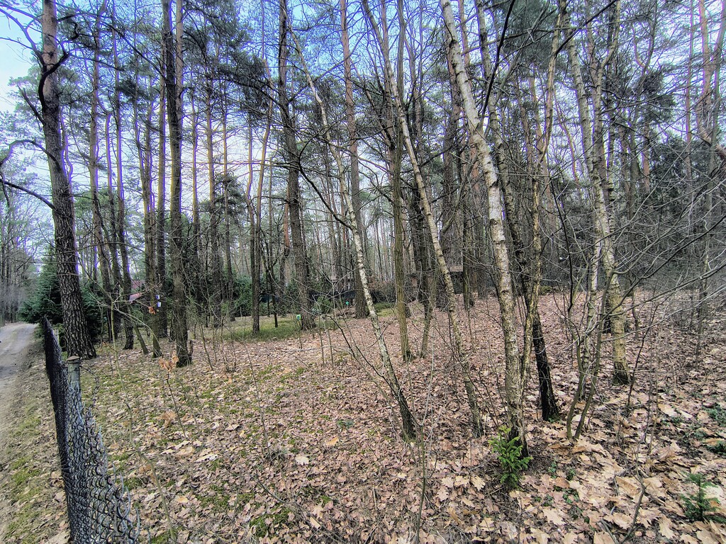 Zofiówka: 1010 m² ciszy blisko Łodzi