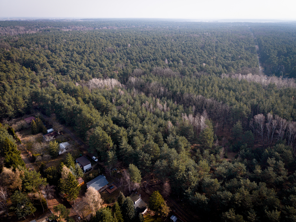 Sokolniki-Las: 2442m2 przestrzeni na rezydencję