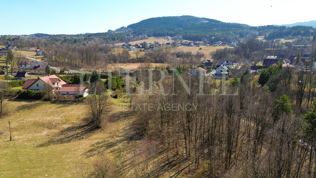 Działka inwestycyjna i rekreacyjna Stara Wieś