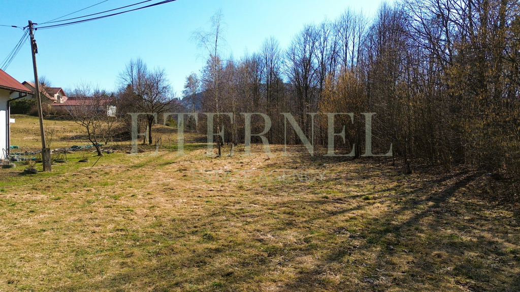 Działka inwestycyjna i rekreacyjna Stara Wieś