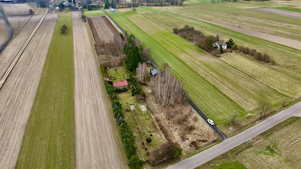 Działka 2345m2: Tu nawet Twój pies poczuje luz!