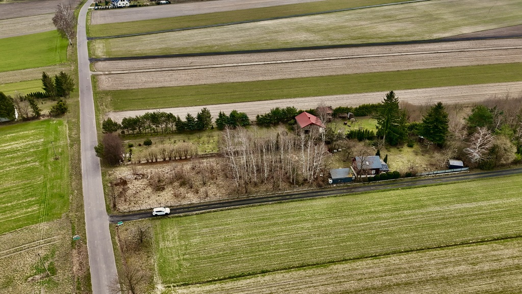 Działka 2345m2: Tu nawet Twój pies poczuje luz!