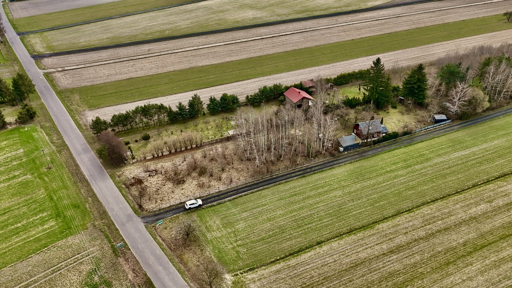Działka 2345m2: Tu nawet Twój pies poczuje luz!