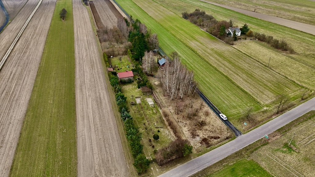 Działka 2345m2: Tu nawet Twój pies poczuje luz!