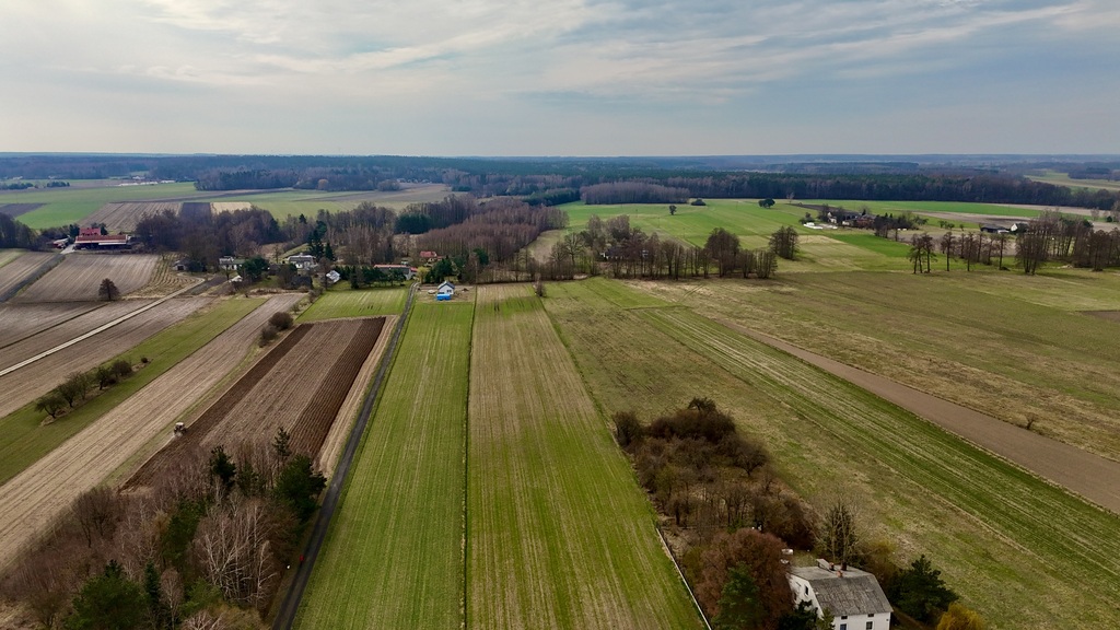 Działka 2345m2: Tu nawet Twój pies poczuje luz!
