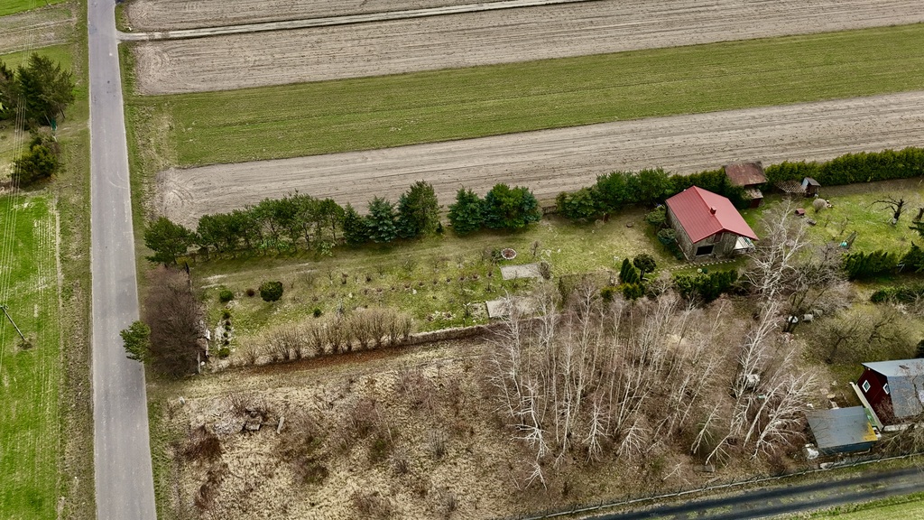 Działka 2345m2: Tu nawet Twój pies poczuje luz!
