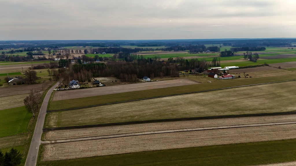 Działka 2345m2: Tu nawet Twój pies poczuje luz!