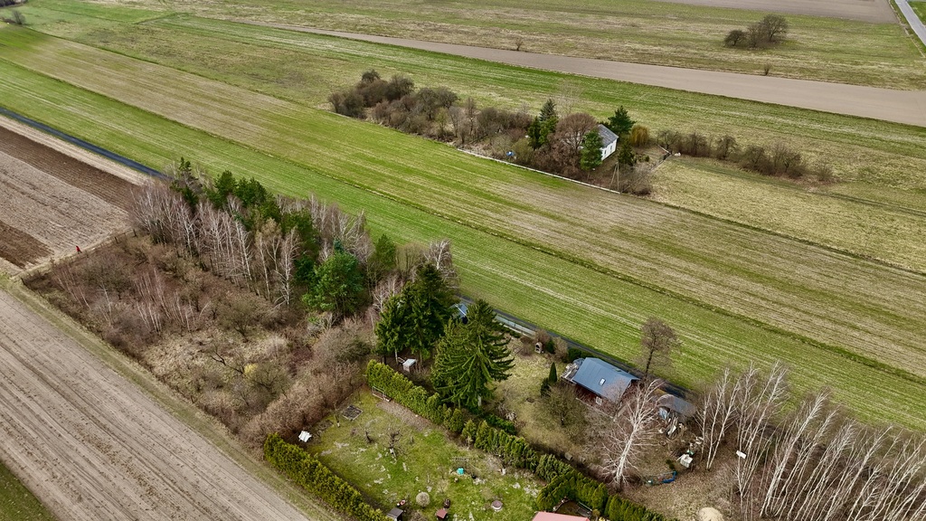 Działka 2345m2: Tu nawet Twój pies poczuje luz!