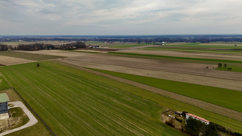 Działka 2345m2: Tu nawet Twój pies poczuje luz!