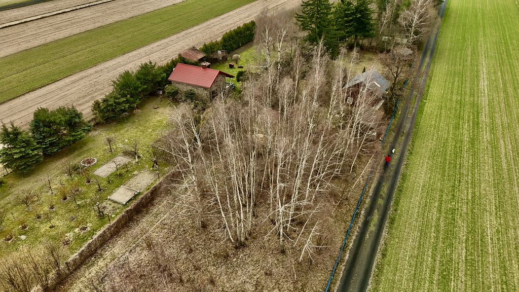 Działka 2345m2: Tu nawet Twój pies poczuje luz!