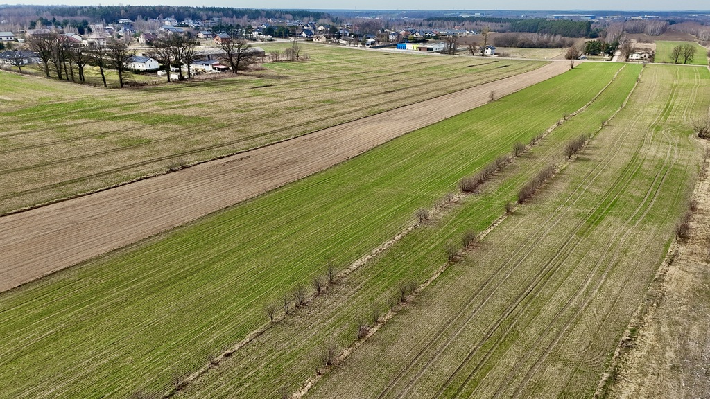 Działka budowlana 3000 m² Dąbrówka - Marianka