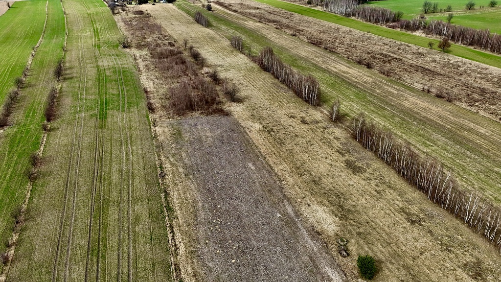 Działka budowlana 3000 m² Dąbrówka - Marianka