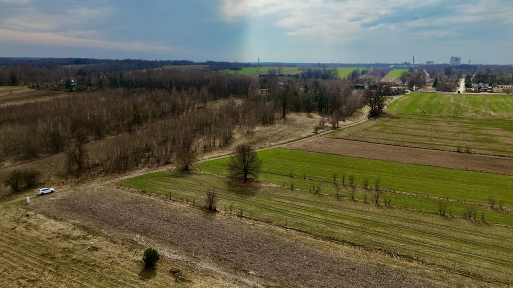 Działka budowlana 3000 m² Dąbrówka - Marianka