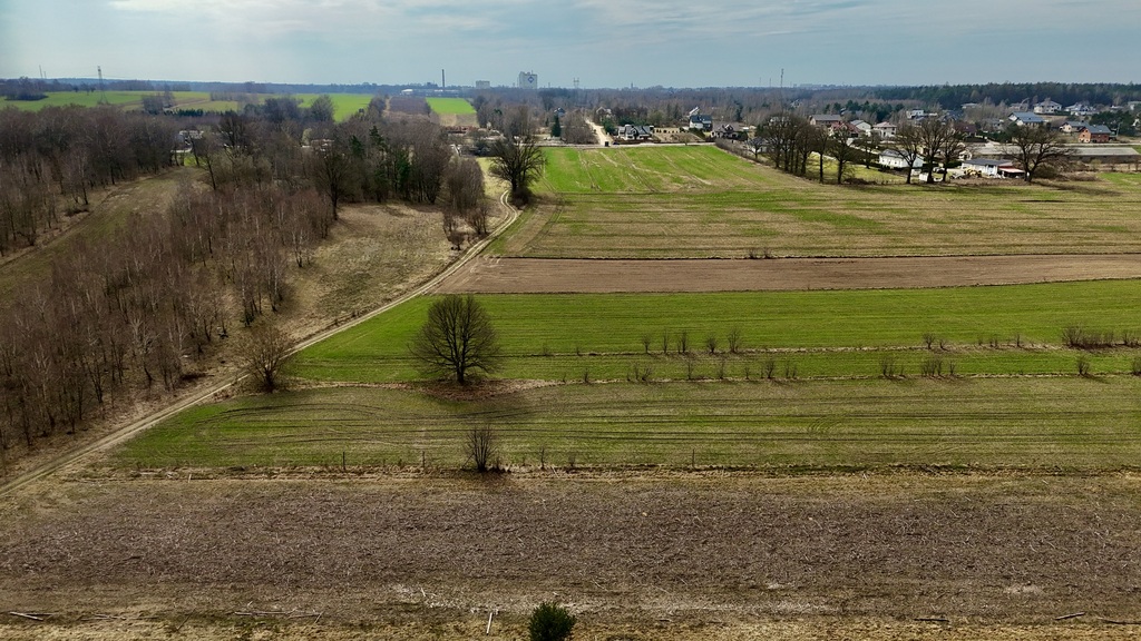 Działka budowlana 3000 m² Dąbrówka - Marianka