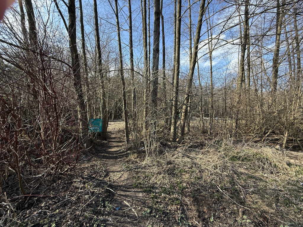 Działka budowlana, 889 m2, Zofiówka, gmina Tuszyn