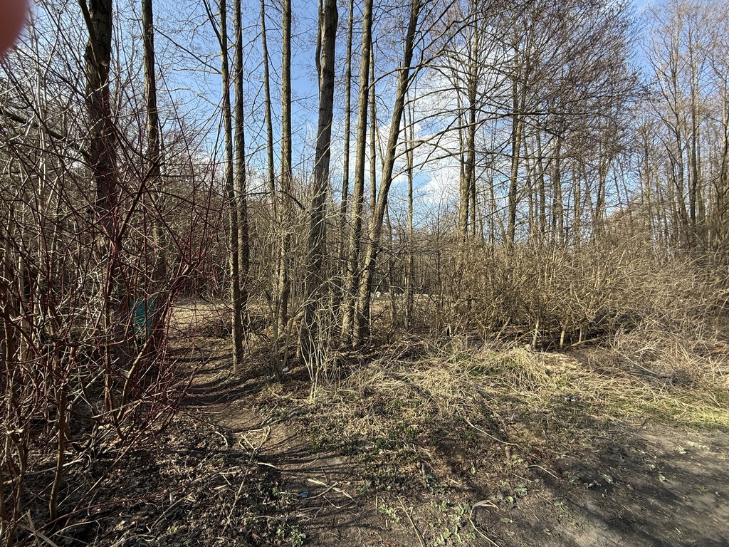 Działka budowlana, 889 m2, Zofiówka, gmina Tuszyn