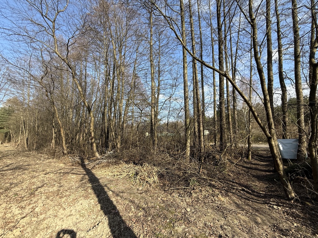 Działka budowlana, 889 m2, Zofiówka, gmina Tuszyn