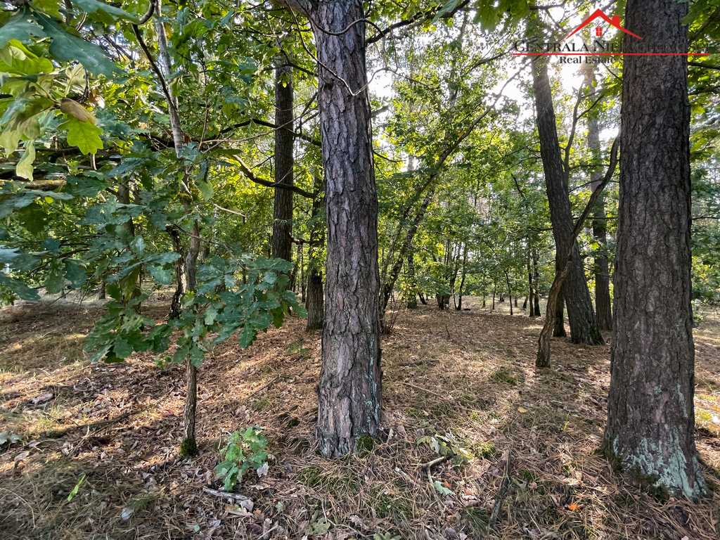 NOWY DOM 142 m2 - Papowo Toruńskie / Okazja !!!