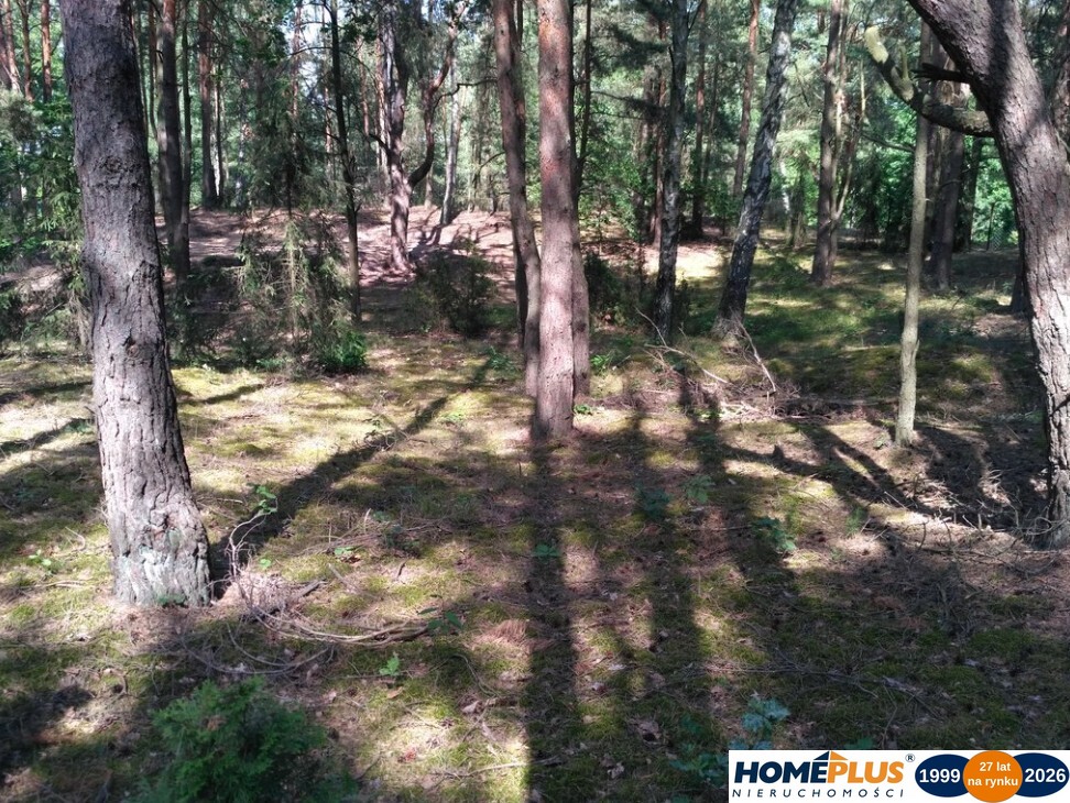 Działka w lesie 2064 m² - letniskowa i całoroczna