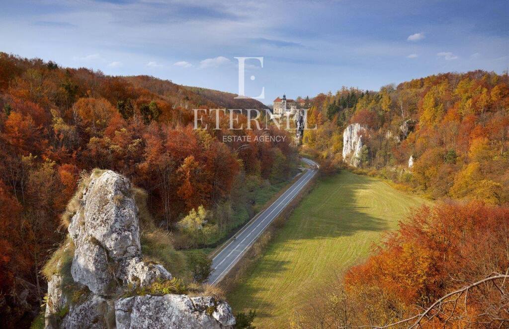 dom jednorodzinny 160m2 z działką - Park Ojcowski
