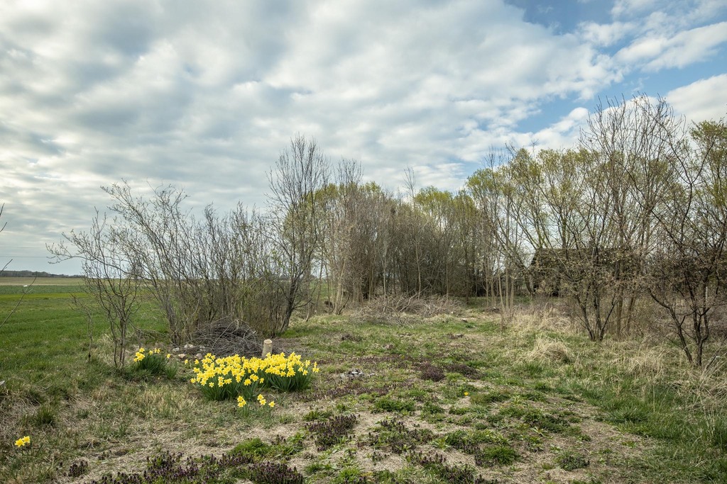 Zamień hałas na ciszę – dom z działką 1000m²