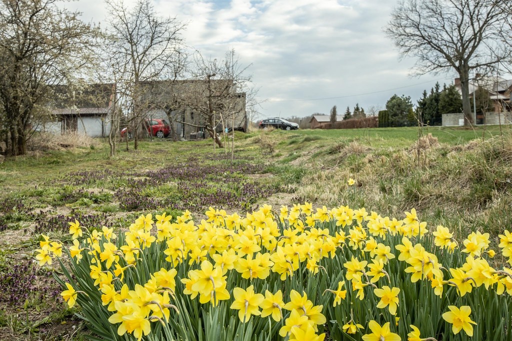 Zamień hałas na ciszę – dom z działką 1000m²