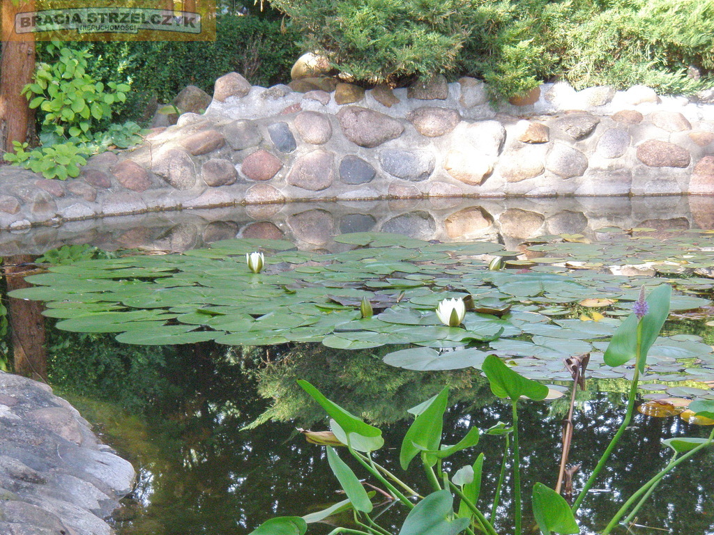 Działka rekreacyjna z domem