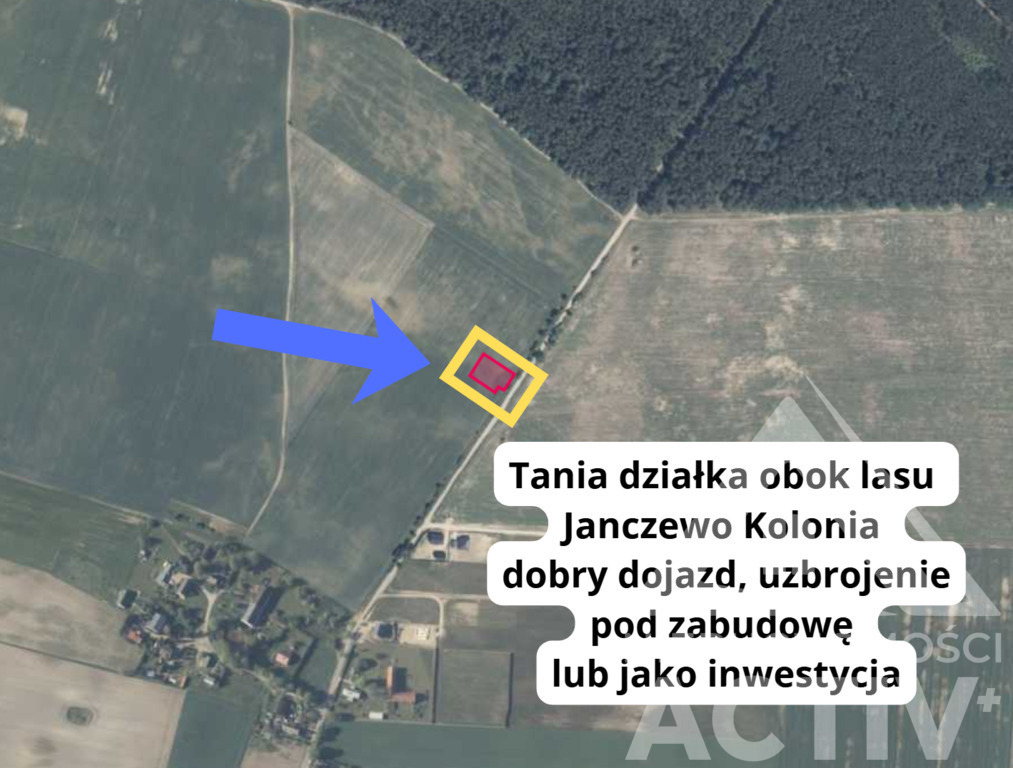 Tania działka budowl. obok lasu. Janczewo Kolonia