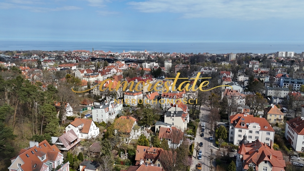 Las i cisza za oknem - spacerem do centrum