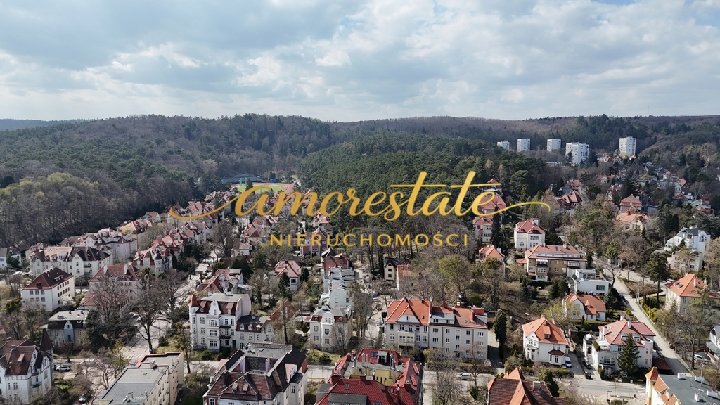Las i cisza za oknem - spacerem do centrum