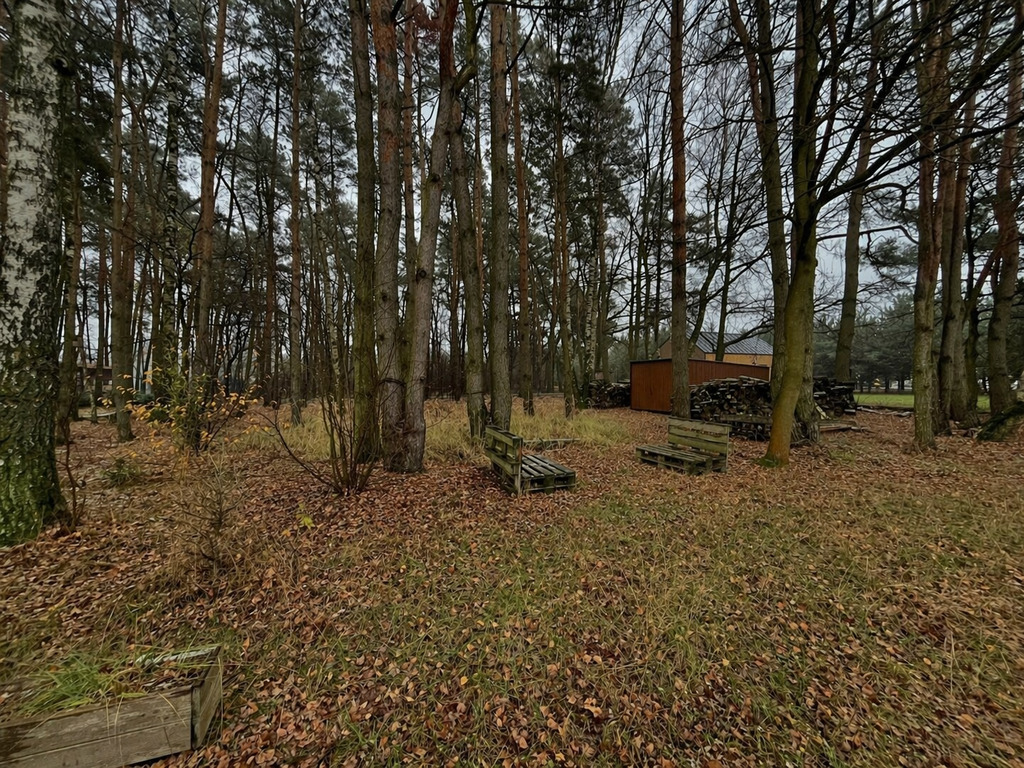 1722 m² z WZ, spokój blisko Łodzi