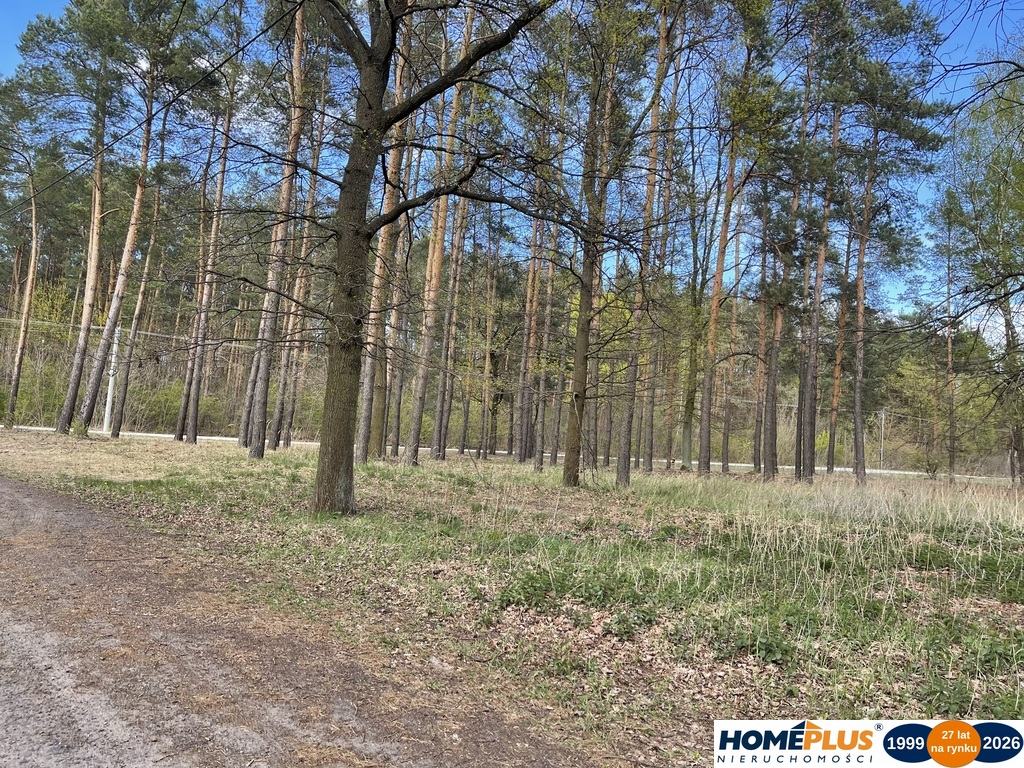 Działka bud. 1371 m² przy lesie, zielona okolica.