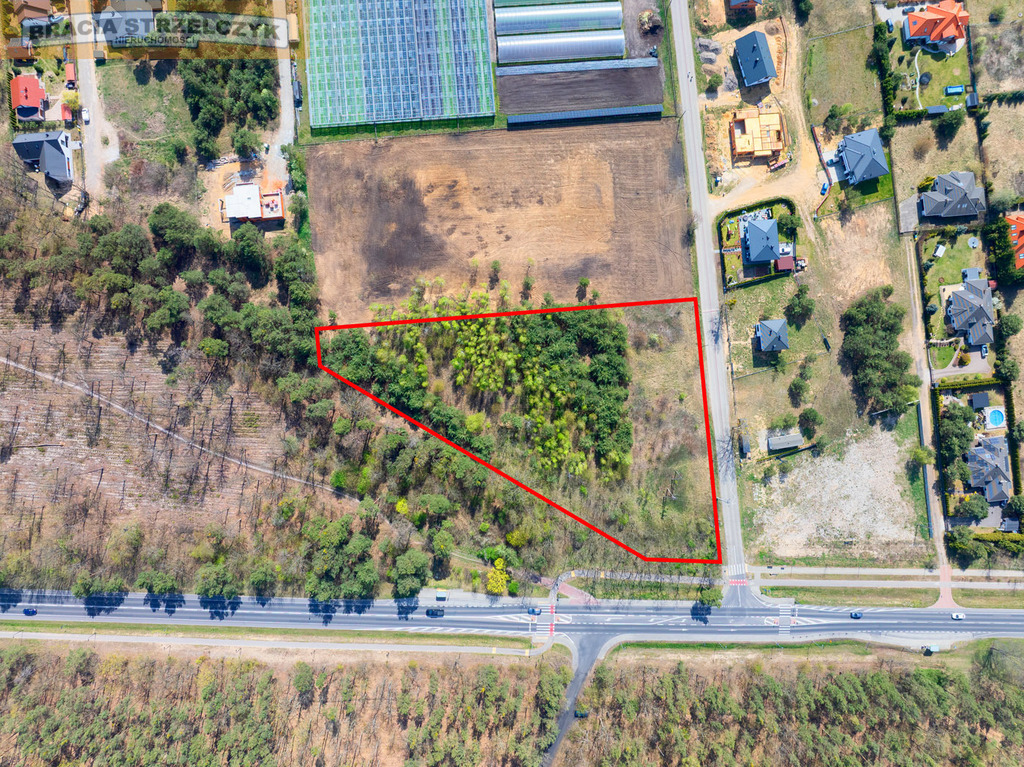SPRZEDAŻ] Grunt 7874 m² – Rajszew | Skrzyżowanie