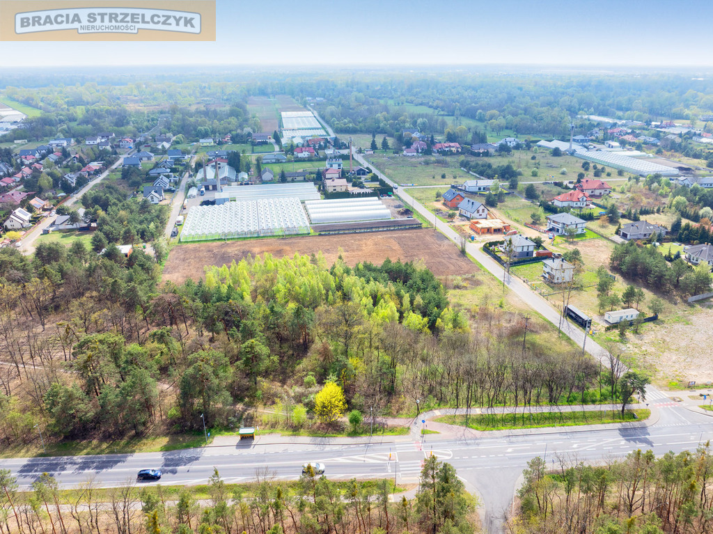 SPRZEDAŻ] Grunt 7874 m² – Rajszew | Skrzyżowanie