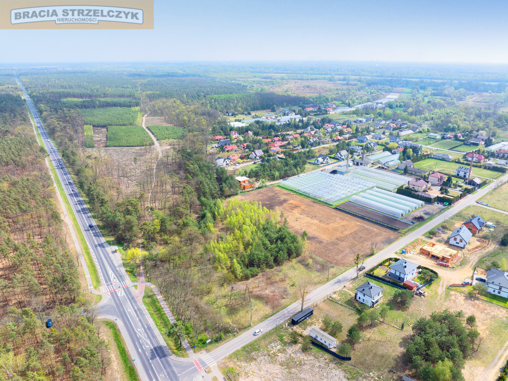 SPRZEDAŻ] Grunt 7874 m² – Rajszew | Skrzyżowanie