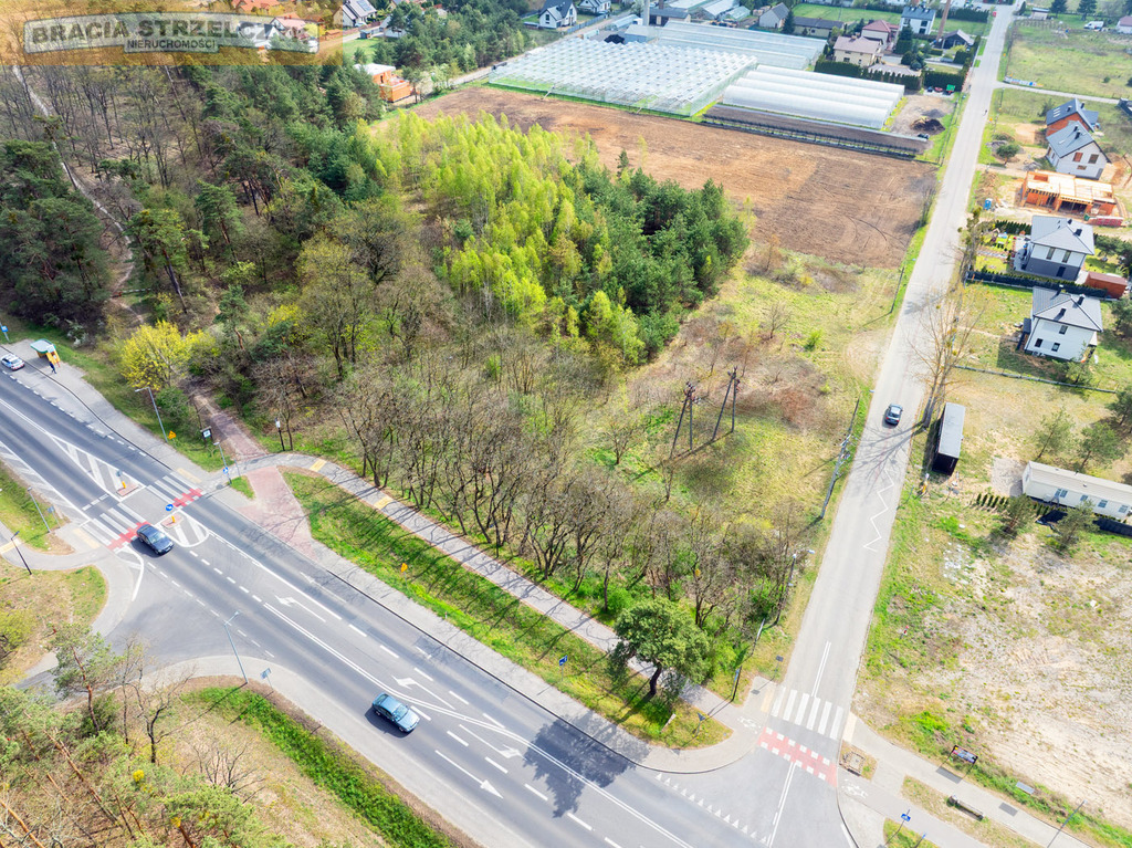 SPRZEDAŻ] Grunt 7874 m² – Rajszew | Skrzyżowanie