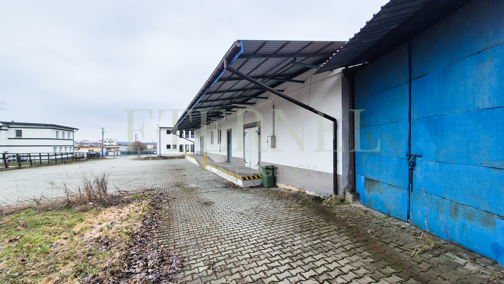 Kompleks biurowo-magazynowy na sprzedaż 1000m2