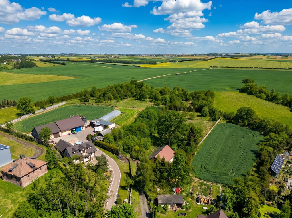 3916 m² Wróżenice - duży potencjał, media, MPZP