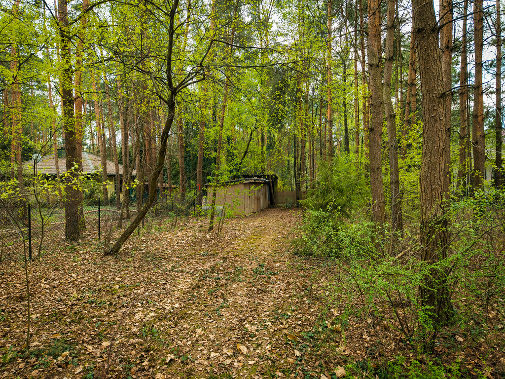 Tu las będzie Twoim sąsiadem|Wizualizacja
