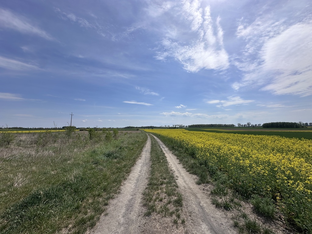 Promocja Bożnów – działki budowlane z WZ!