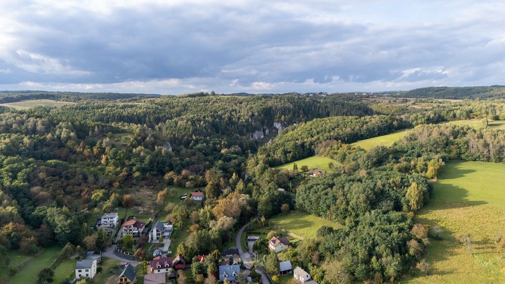 Dom na dużej działce 2600 m² – projekt przebudowy