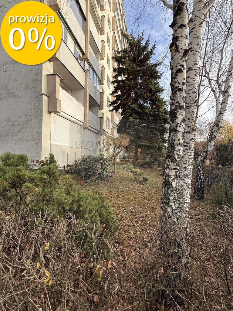 duże, widne mieszkanie Erazma z Zakroczymia