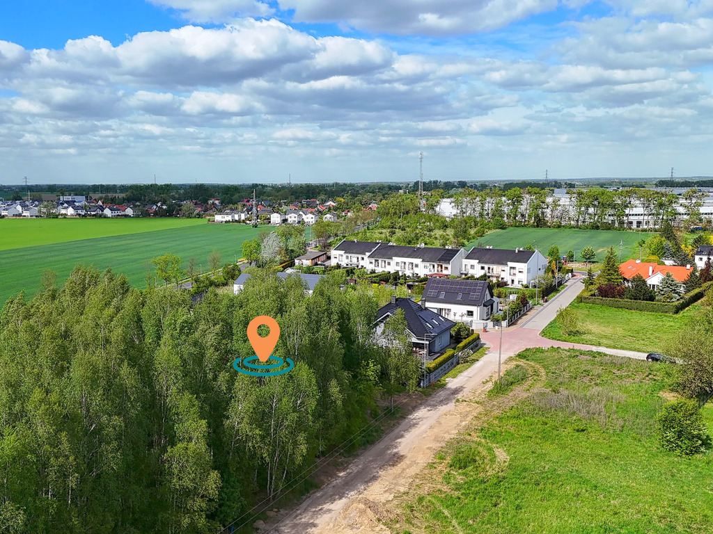 Sady pod Poznaniem | Działka z brzozami | 1544 m2