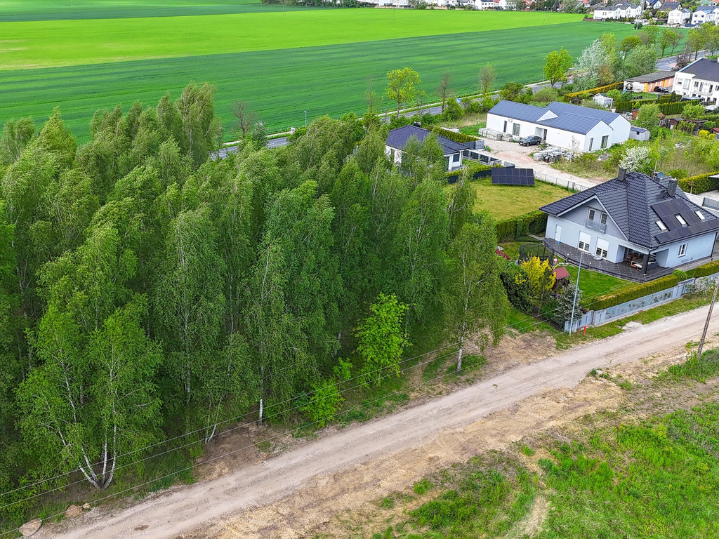 Sady pod Poznaniem | Działka z brzozami | 1544 m2