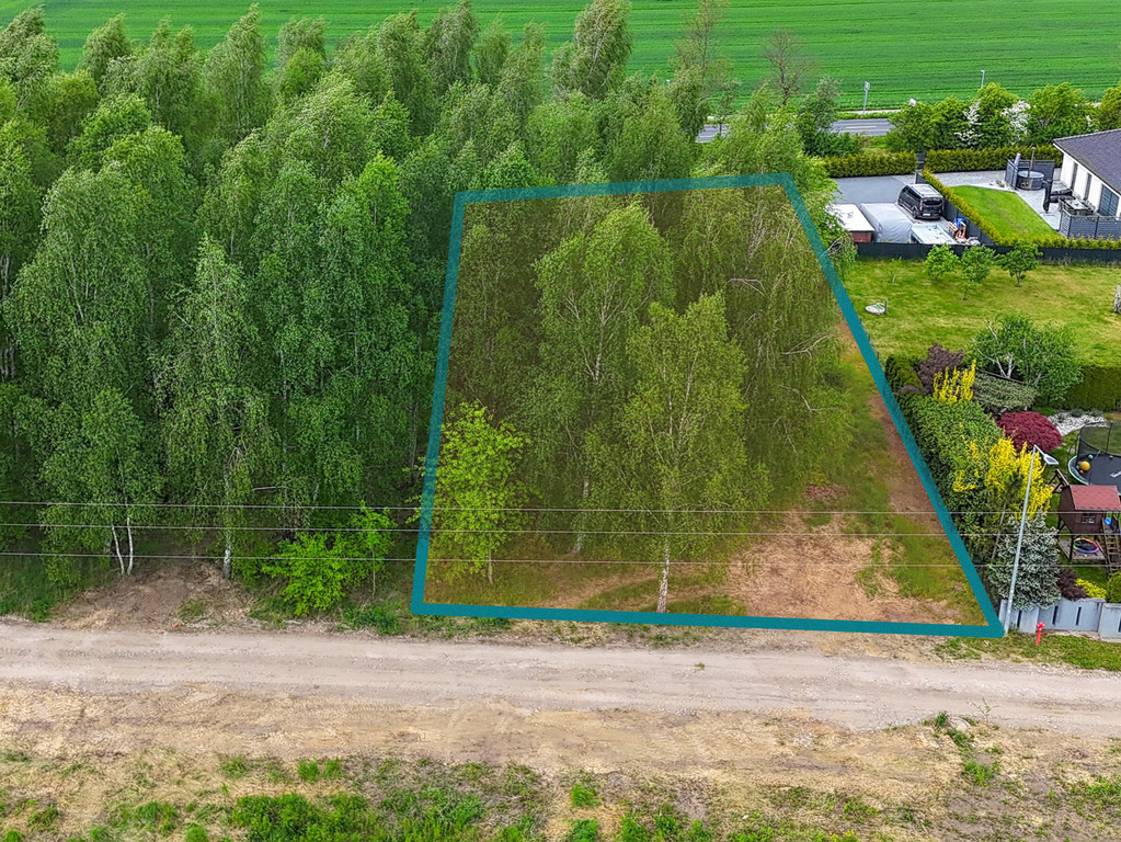 Sady pod Poznaniem | Działka z brzozami | 1544 m2
