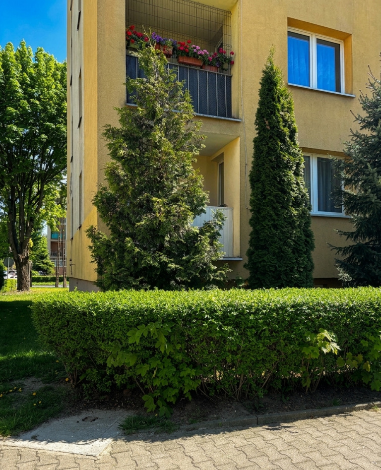 Gotowiec inwestycyjny! 2 pokoje po remoncie, 37m2