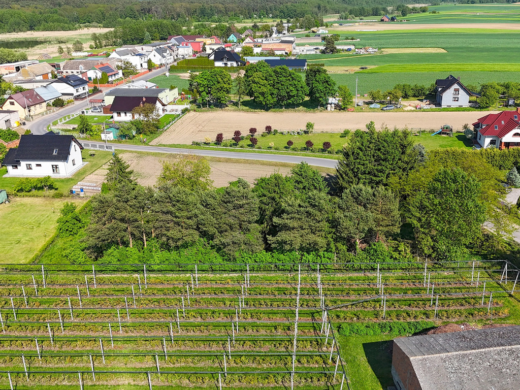 Działka z dala od zgiełku | Mirosławki | 2000 m2