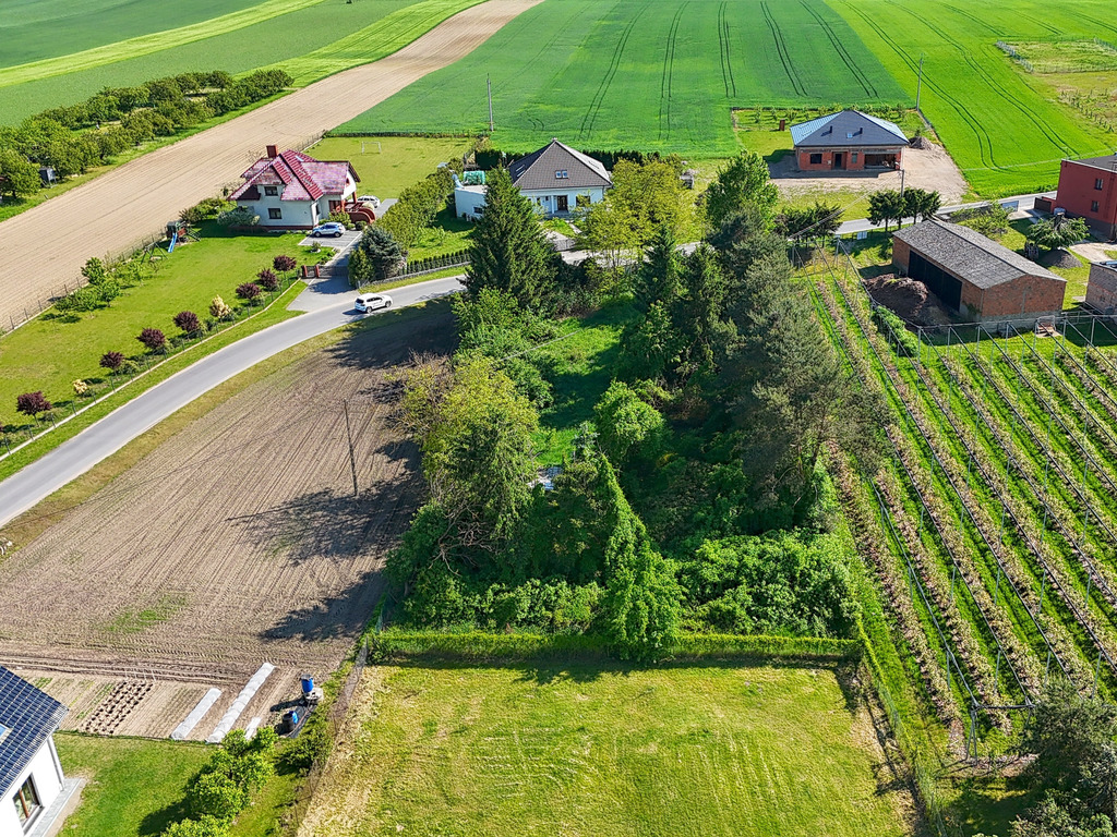 Działka z dala od zgiełku | Mirosławki | 2000 m2