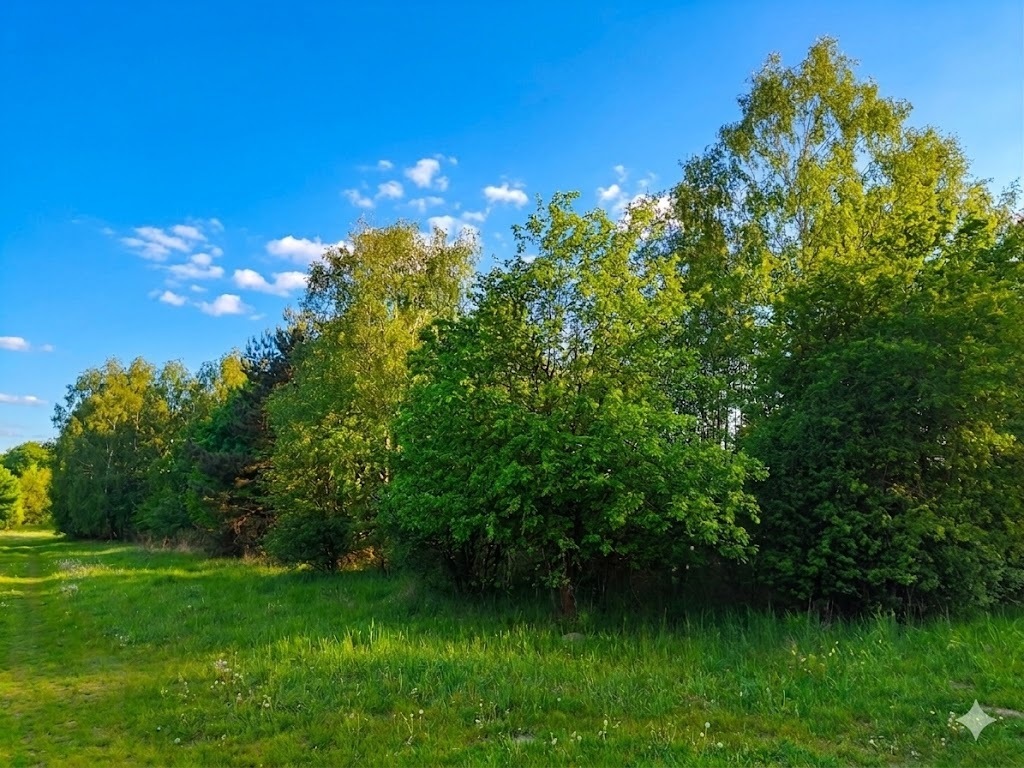 Nieoszlifowany "DIAMENT" w Karnicach - ZOBACZ!