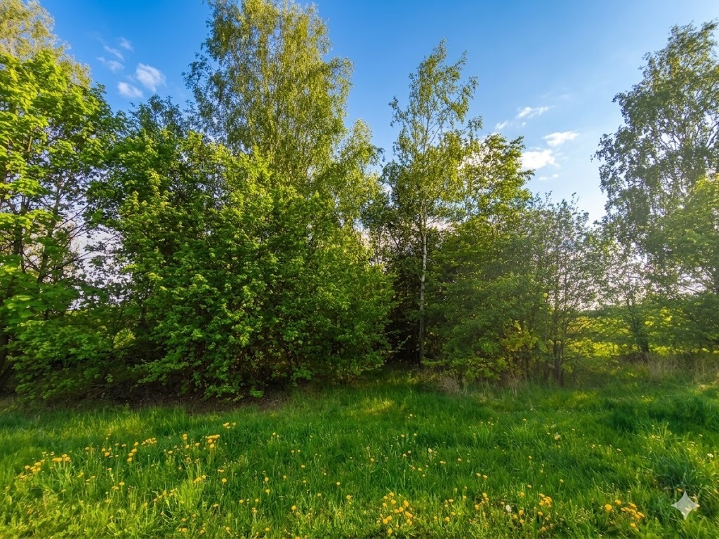 Nieoszlifowany "DIAMENT" w Karnicach - ZOBACZ!